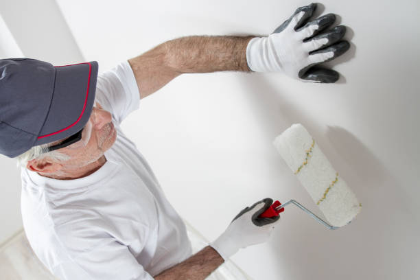 Best Comprehensive Air Testing for Mold Contaminants  in Springerville, AZ