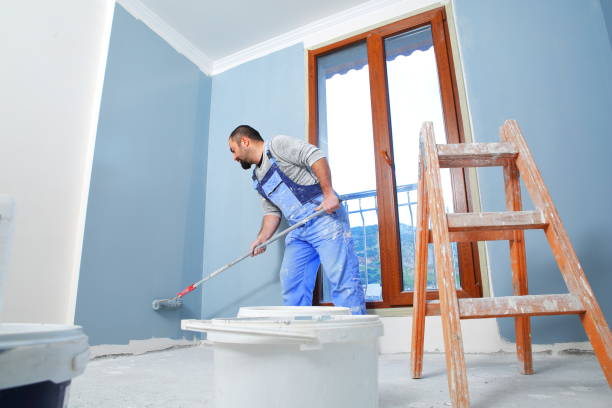 Best Comprehensive Air Testing for Mold Contaminants  in Springerville, AZ