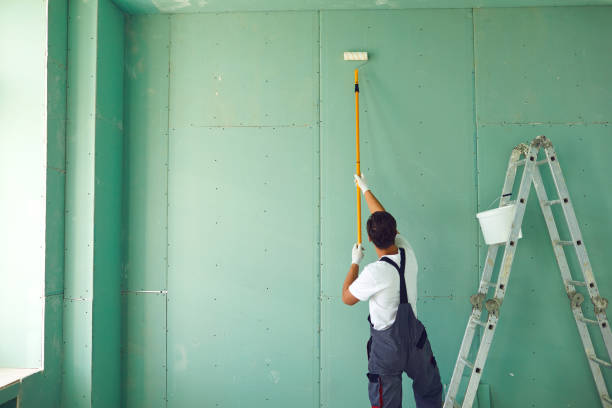 Best Black Mold Removal  in Springerville, AZ