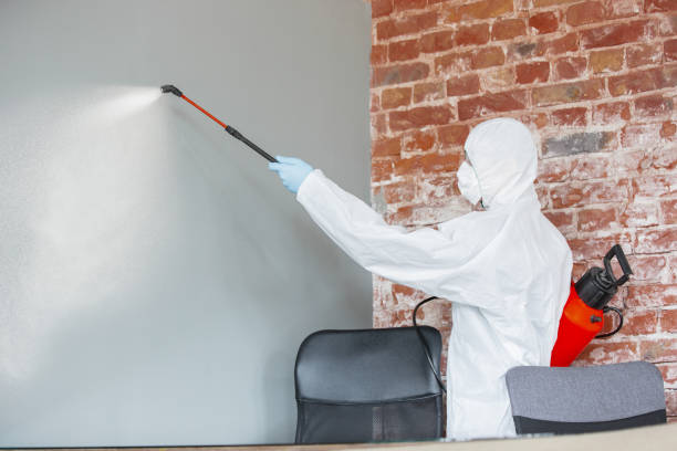 Best Dehumidification Services  in Springerville, AZ