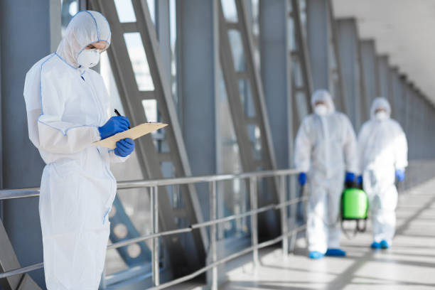 Best Mold Prevention Services  in Springerville, AZ
