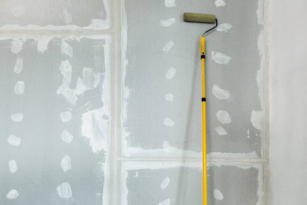 Best Mold Removal for HVAC Installations  in Springerville, AZ