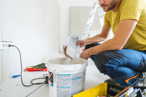 Best Mold Damage Restoration  in Springerville, AZ
