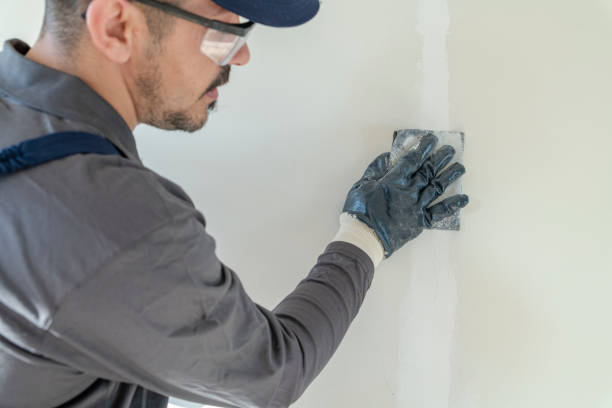 Best Post-Remediation Verification Testing  in Springerville, AZ