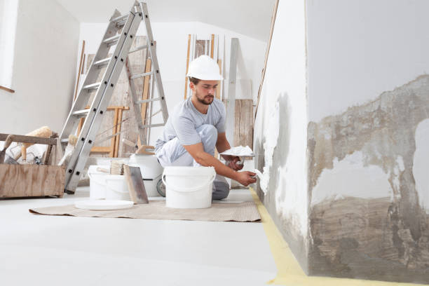 Mold Remediation for Rental Properties in Springerville, AZ