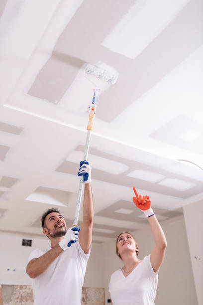 Best Mold Removal for HVAC Installations  in Springerville, AZ