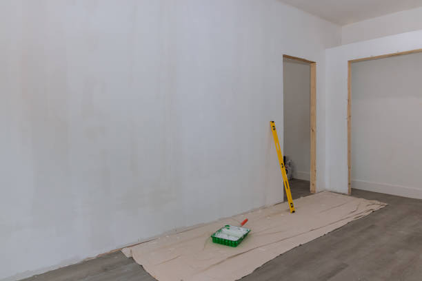Best Residential Mold Inspection & Testing  in Springerville, AZ
