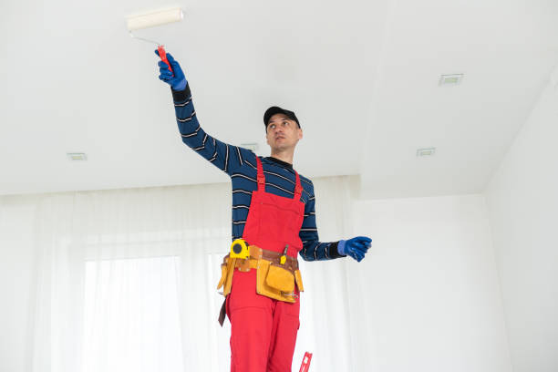 Best Attic Mold Removal  in Springerville, AZ