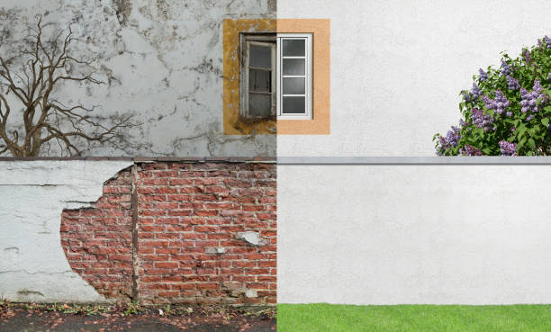 Springerville, AZ Mold Removal Pros