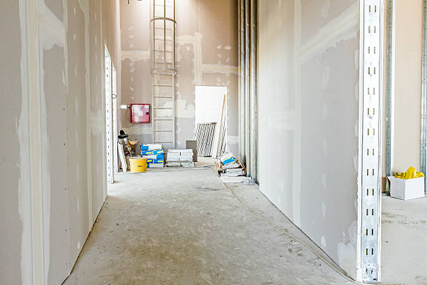 Best HVAC Mold Inspection and Cleaning  in Springerville, AZ