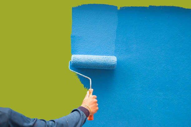 Best Basement Mold Removal  in Springerville, AZ
