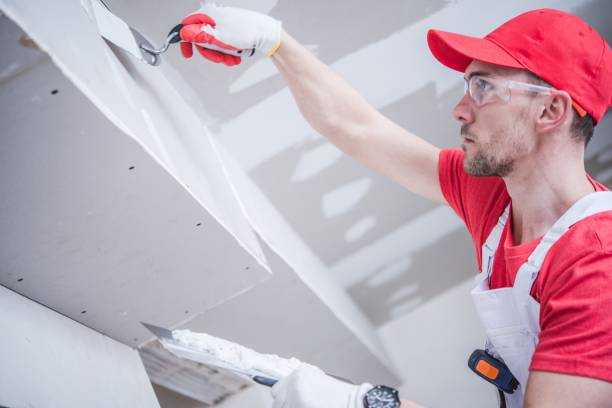 Reliable Springerville, AZ Mold Removal Solutions